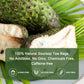 Organic Soursop Leaf Tea Bags | Annona Muricata Herbal Tea for Relaxation & Wellness | Caffeine-Free  Antioxidant Rich | 30 Count | Gluten-Free  Non-GMO