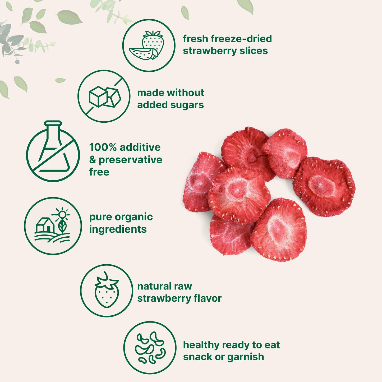 Micro Ingredients Organic Freeze Dried Strawberries, 6.4oz, No Sugar, Non-GMO, Vegan, Healthy Snack & Topping