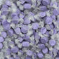 Gourmet Soft And Chewy Salt Water Taffy Candies - Individually Wrapped - Bulk Bags (Purple Grape, 2 Pound (Pack Of 1))