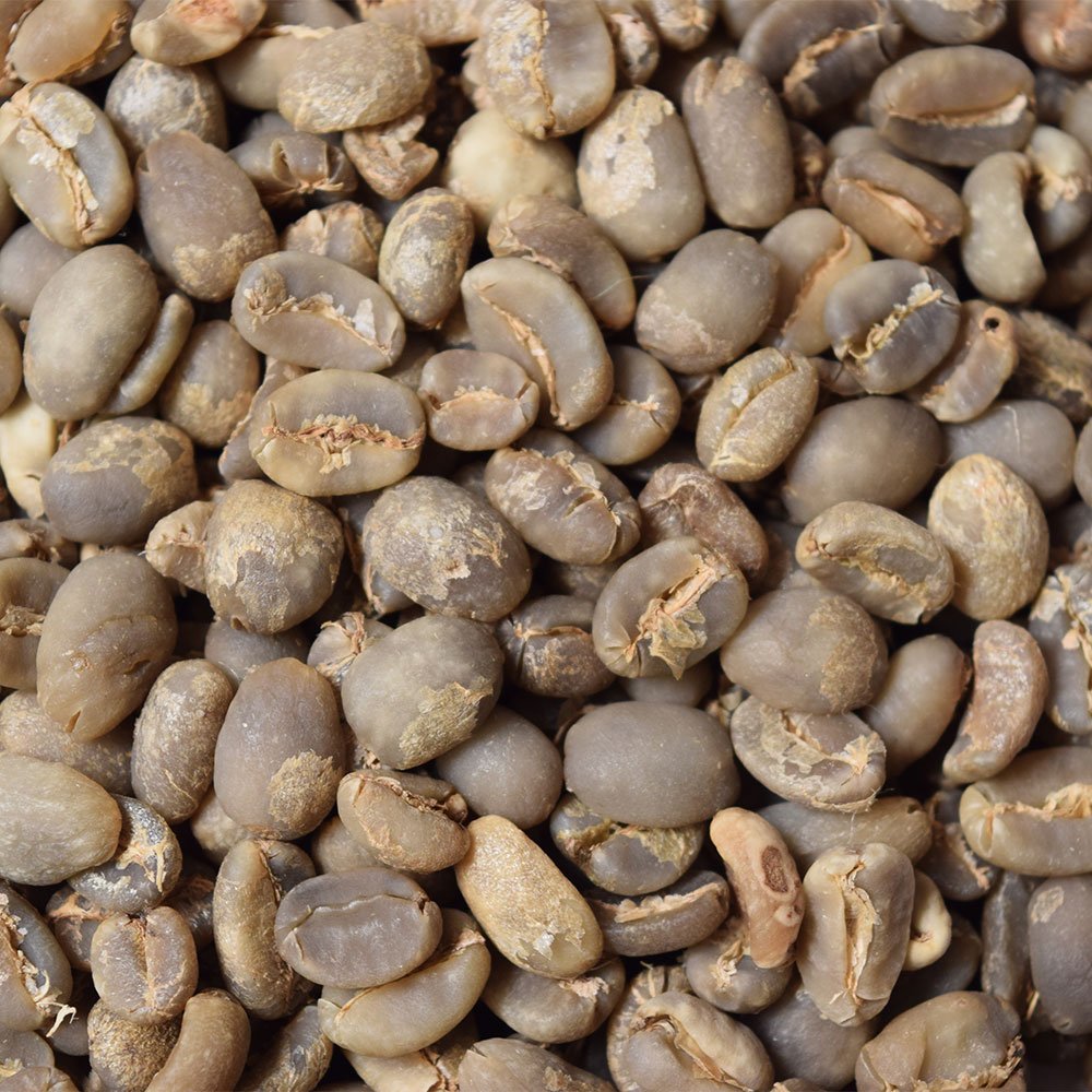 Fresh Roasted Coffee Unroasted Organic Sumatra 5 Pound USDA Organic 100% Single Origin Kosher