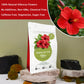 SAMCCI Hibiscus Tea Bags - Premium Dried Hibiscus Flower - Caffeine-Free - 50 Count