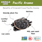 Emerald Cove Pacific Arame, Non-Gmo Dried Seaweed, Hijiki Substitute, 1.76 Oz (Pack Of 6)