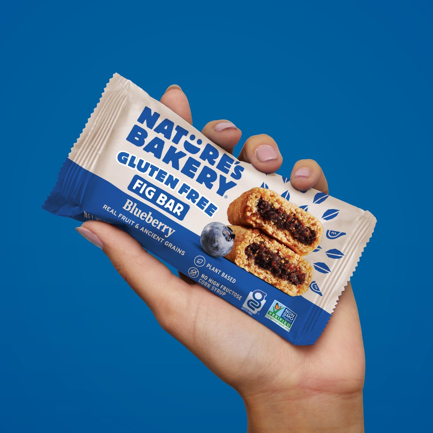 Natures Bakery Gluten Free Fig Bars, Blueberry, Real Fruit, Vegan, Non-Gmo, Snack Bar, 1 Box With 6 Twin Packs (6 Twin Packs)