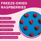 Summmer Freeze Dried Raspberries - 10 Packs - No Added Sugar Package - 8.8 Oz 100% Natural Candy, Fruit Snack For Kids & Adults
