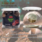 Vigorous Mountains Dried Shiitake Mushrooms For Cooking, 2-3Cm Dehydrated Mushrooms, Dry Fresh Vegan No Fumigation Sulfur (1.5Oz)