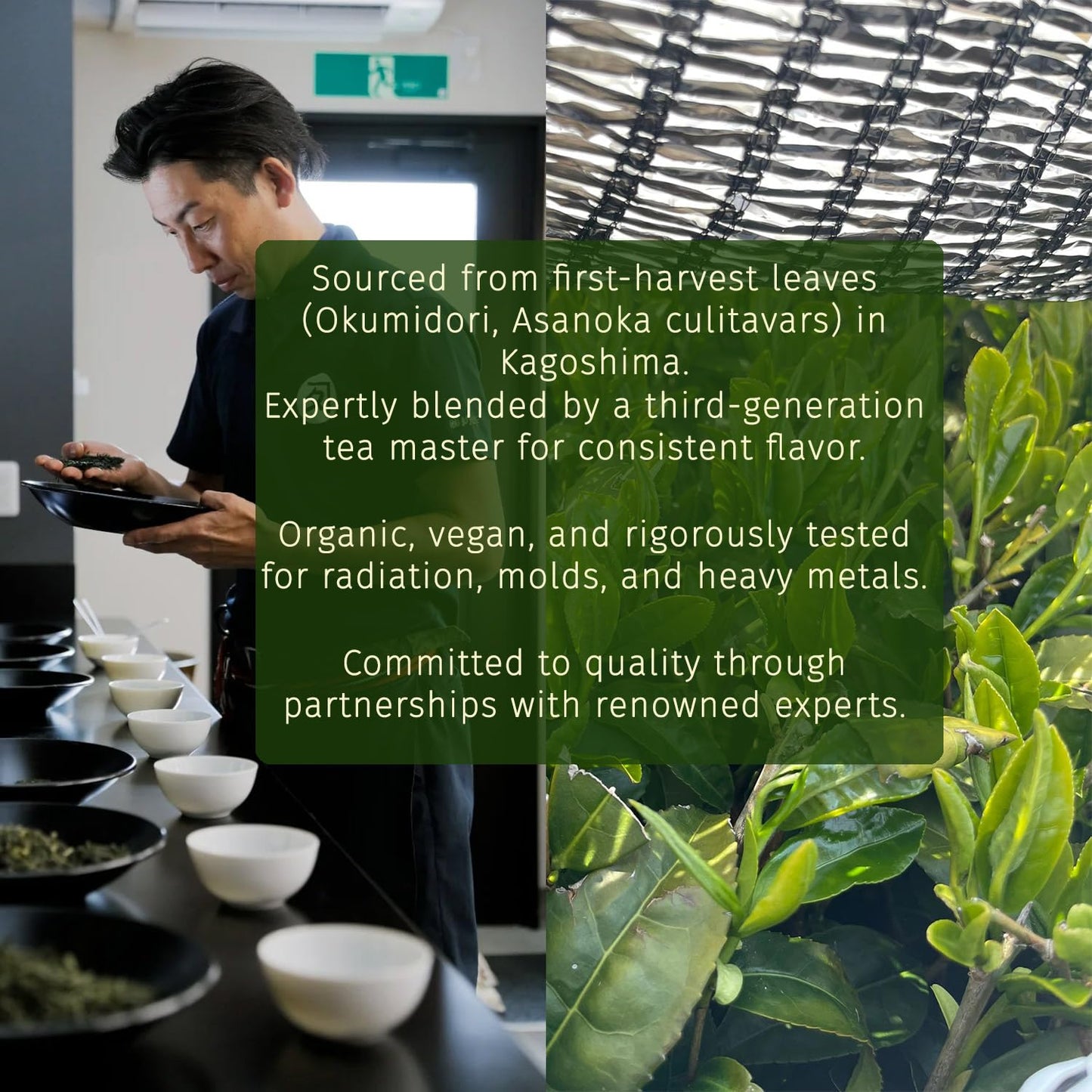 Midori Spring Organic Ceremonial Grade Matcha Powder, 1.06 oz, Gluten Free, Vegan, Green, Model MS-MATCHA-G-30