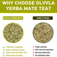 Olvvla Yerba Mate Tea - 100% Natural Unsmoked - 60 Count Tea Bags - Medium-Caffeine Energy Tea