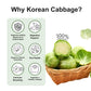 TERRAPICK Korean Cabbage Juice - 100% Pure Extract, Gut Health Support, 30 Pouches, 3.04 Fl Oz Each