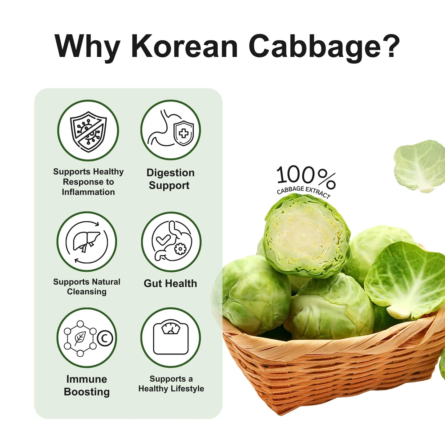 TERRAPICK Korean Cabbage Juice - 100% Pure Extract, Gut Health Support, 30 Pouches, 3.04 Fl Oz Each