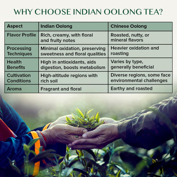 Vahdam, White Mountain Oolong Tea Loose Leaf (25 Cups) | 100% Pure Oolong Tea Leaves | Darjeeling Tea | | Brew As Hot, Iced Tea
