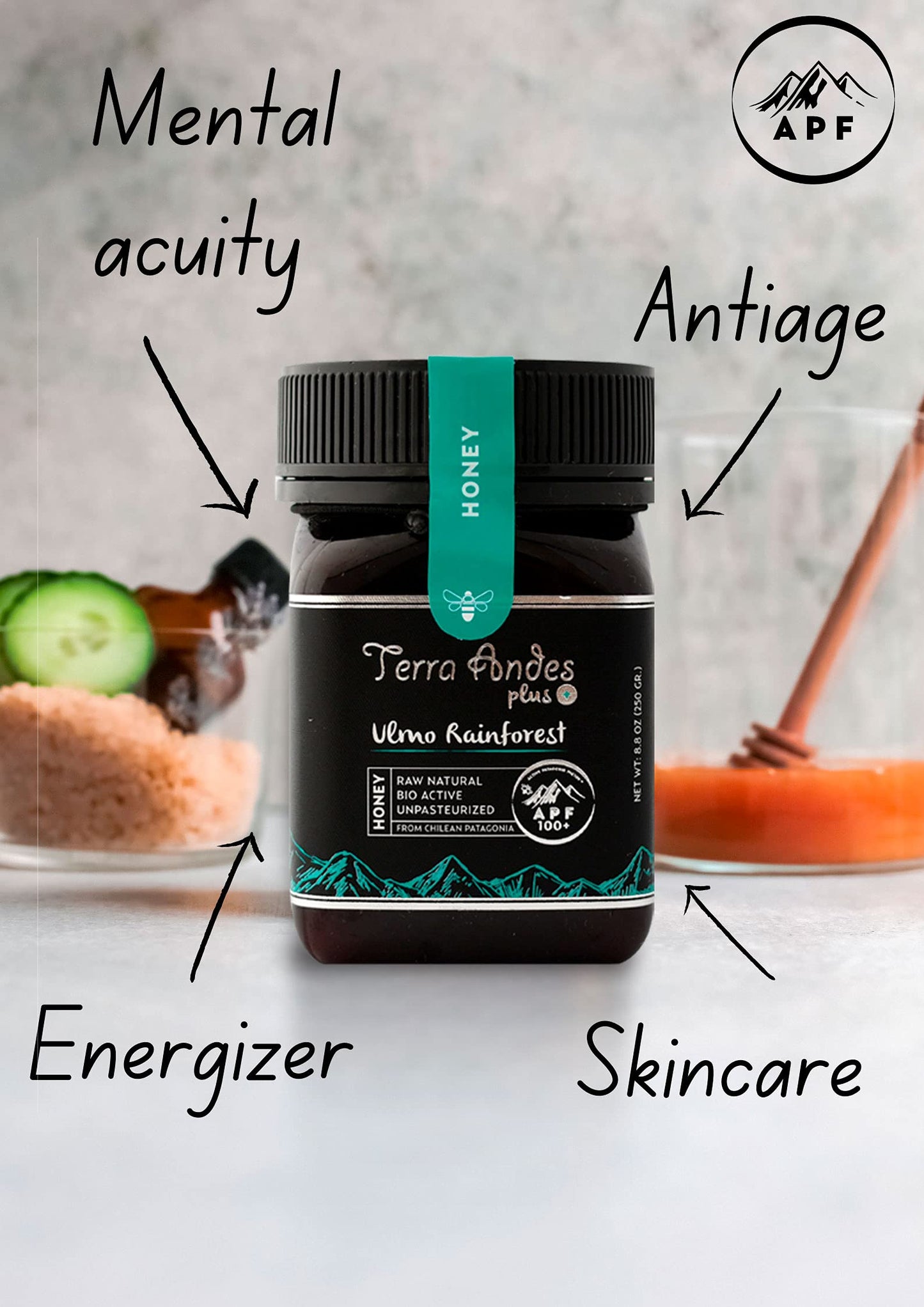 Ulmo Rainforest Raw Honey By Terra Andes Plus | Apf 100+ Pure Honey, 8.8 Oz