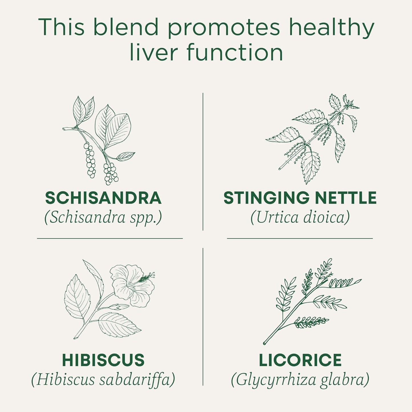 Traditional Medicinals Tea  Organic Everyday Detox Schisandra Berry  Supports Healthy Liver Function  Detox  16 Tea Bags (Pack of 2)