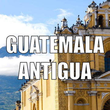 Guatemala Coffee, Antigua, Whole Bean, Medium Roast, Single Origin, Fresh Roasted 5 Lbs