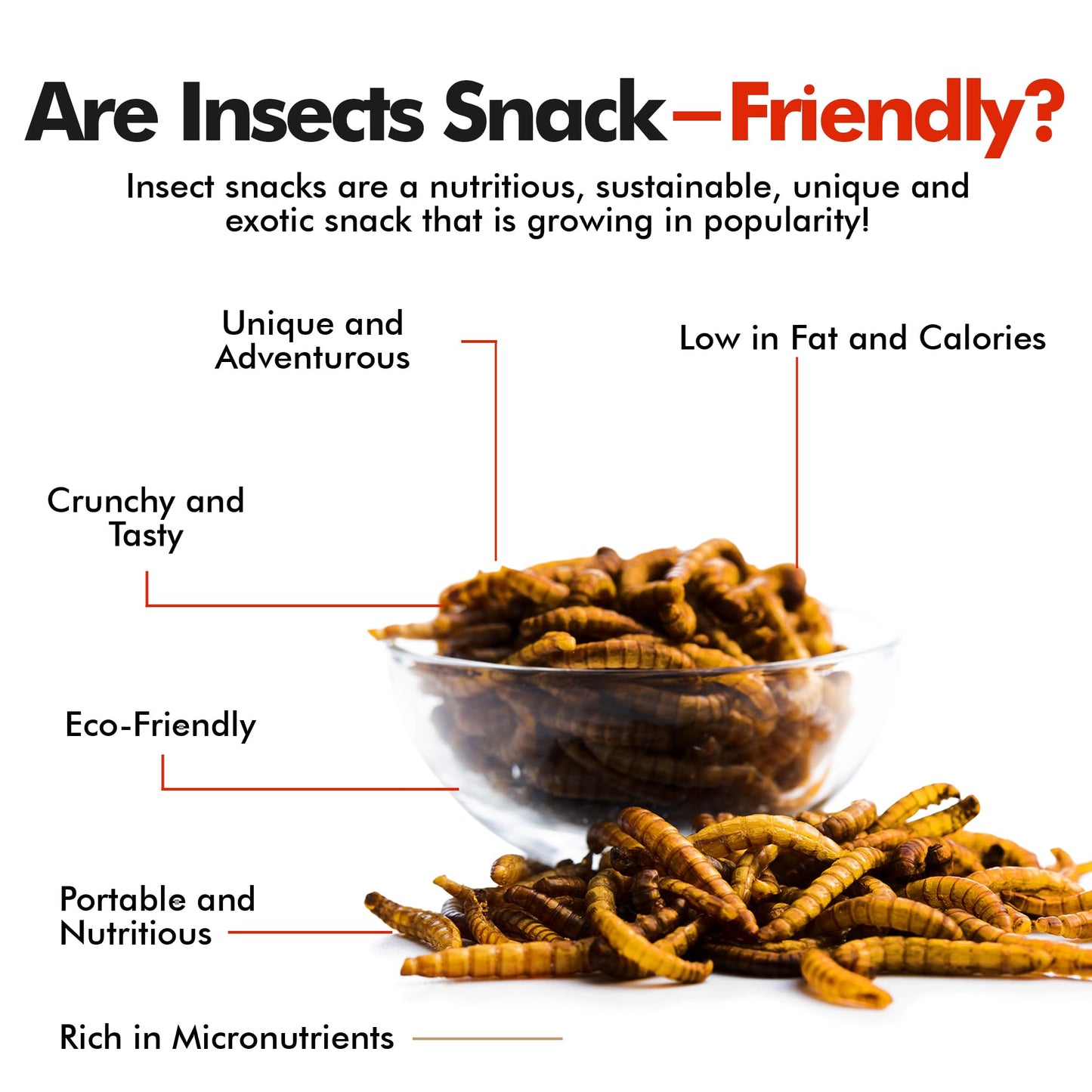 Hotlix Larvets Edible Bugs (3-Pack), Real Flavored Edible Larvae In Cheddar Cheese, Bbq, Mexican Cheese, Exotic Snacks, Edible I
