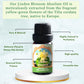 Flora Aromatics Linden Blossom Absolute Oil | 100% Pure The utic Grade | 10ml / 0.33 FL OZ