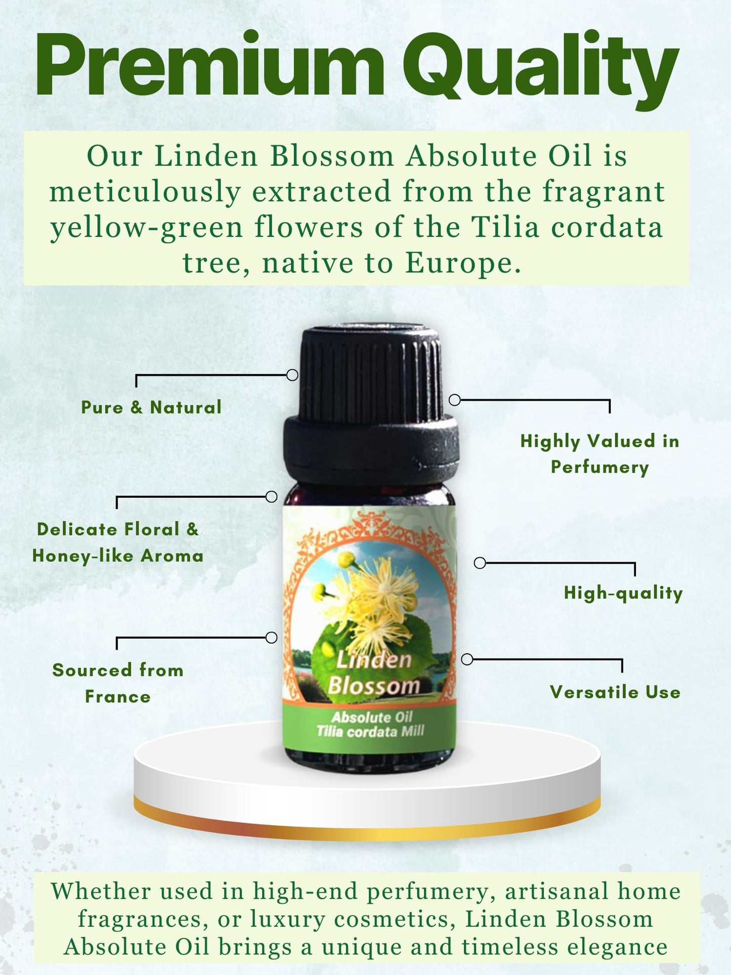 Flora Aromatics Linden Blossom Absolute Oil | 100% Pure The utic Grade | 10ml / 0.33 FL OZ