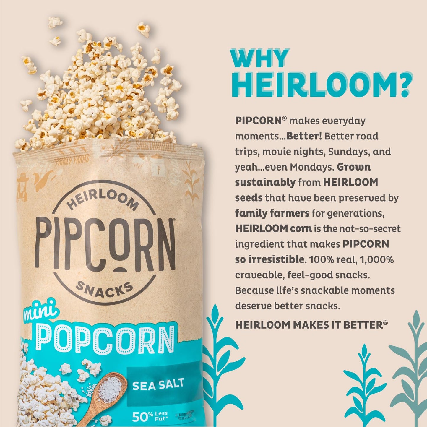 Heirloom Sea Salt Mini Popcorn By Pipcorn - 4.5Oz 6Pk - Healthy Snacks, Gluten Free Snacks, Heirloom Corn, Salty Snacks