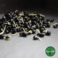 2.5 Lb Non-Gmo Organic Black Soy Beans (Soya Bean) - Dry Organic Soybeans For Organic Dried Tofu, Soybean Milk, Soybean Sprouts,