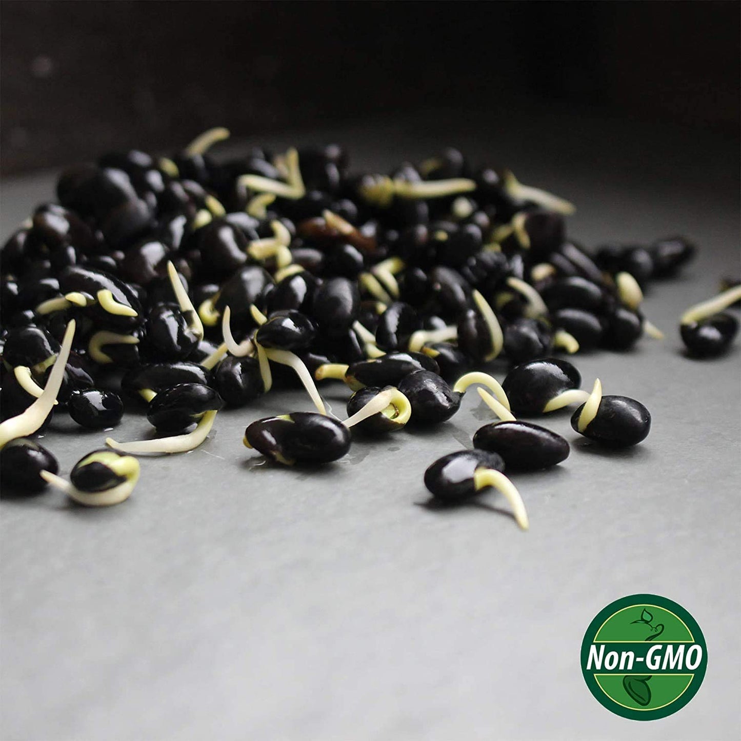 2.5 Lb Non-Gmo Organic Black Soy Beans (Soya Bean) - Dry Organic Soybeans For Organic Dried Tofu, Soybean Milk, Soybean Sprouts,