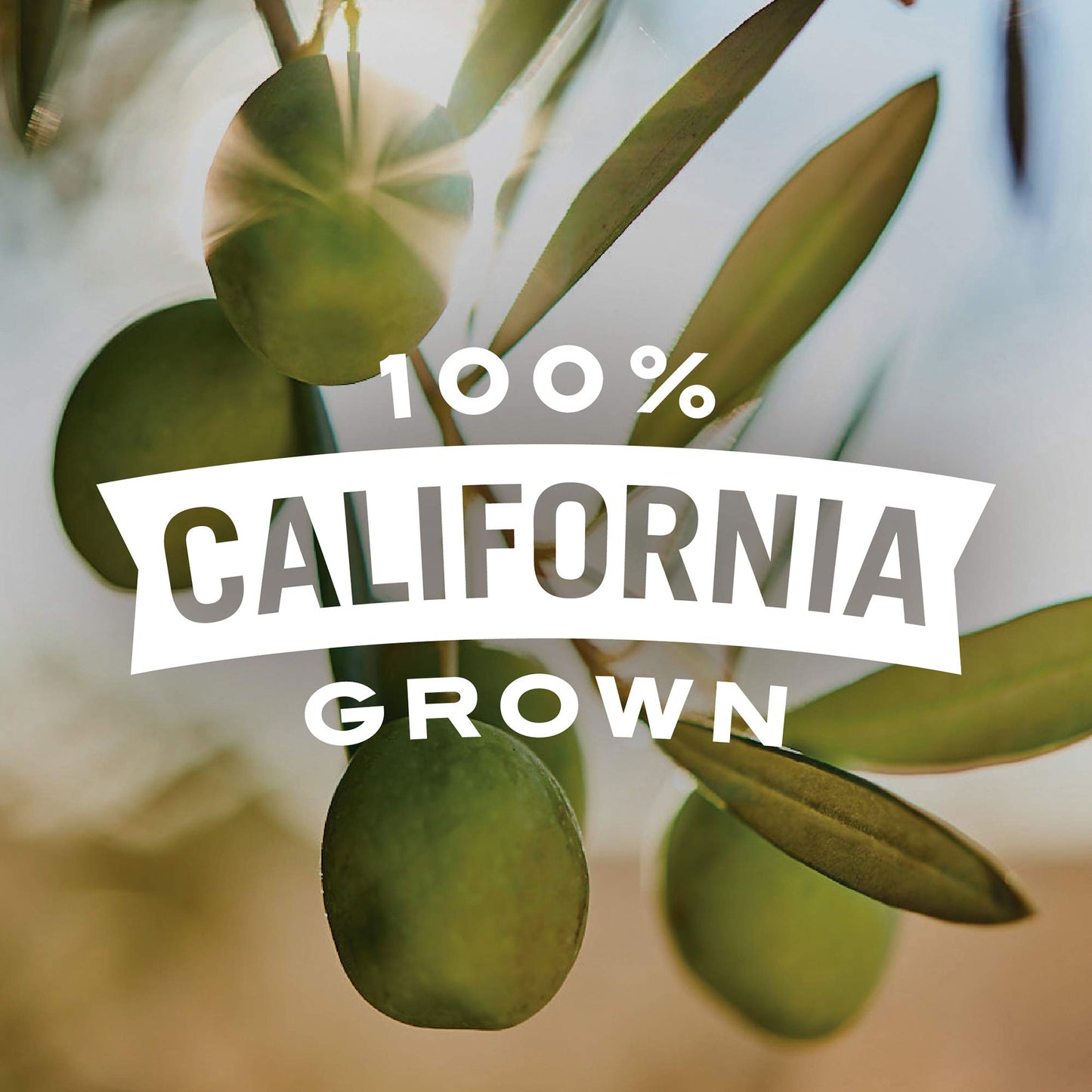 Early California Simply Olives Green Ripe Pitted Olives, 6 oz Cans, Pack of 12