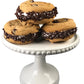 100% Natural Chocolate Sprinkles. Gluten Free. Dairy Free. Egg Free. Soy Free. Nuts Free. Vegan. Hkc. Lactose Free. Bulk- 1.5 Lb