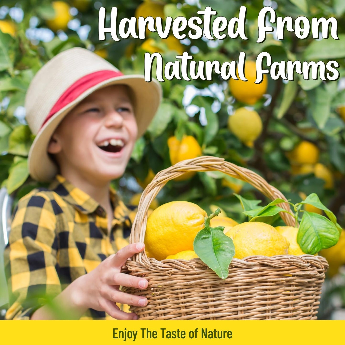 Fangkic Dried Lemon Slices, 100% Natural, Additive-Free, 4oz (113g) for Baking, Cocktails, Potpourri, Crafts