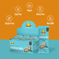 Amrita Vegan Protein Bars - Chocolate Chip Coconut, 15g Protein, Gluten & Soy Free, 12 Count (Pack of 3)