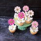 Ephlyn 24Pcs Daisy Cupcake Toppers Flower Cake Decorations 4.3cm x 12cm Rose Red Pink Paper