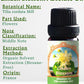 Flora Aromatics Linden Blossom Absolute Oil | 100% Pure The utic Grade | 10ml / 0.33 FL OZ