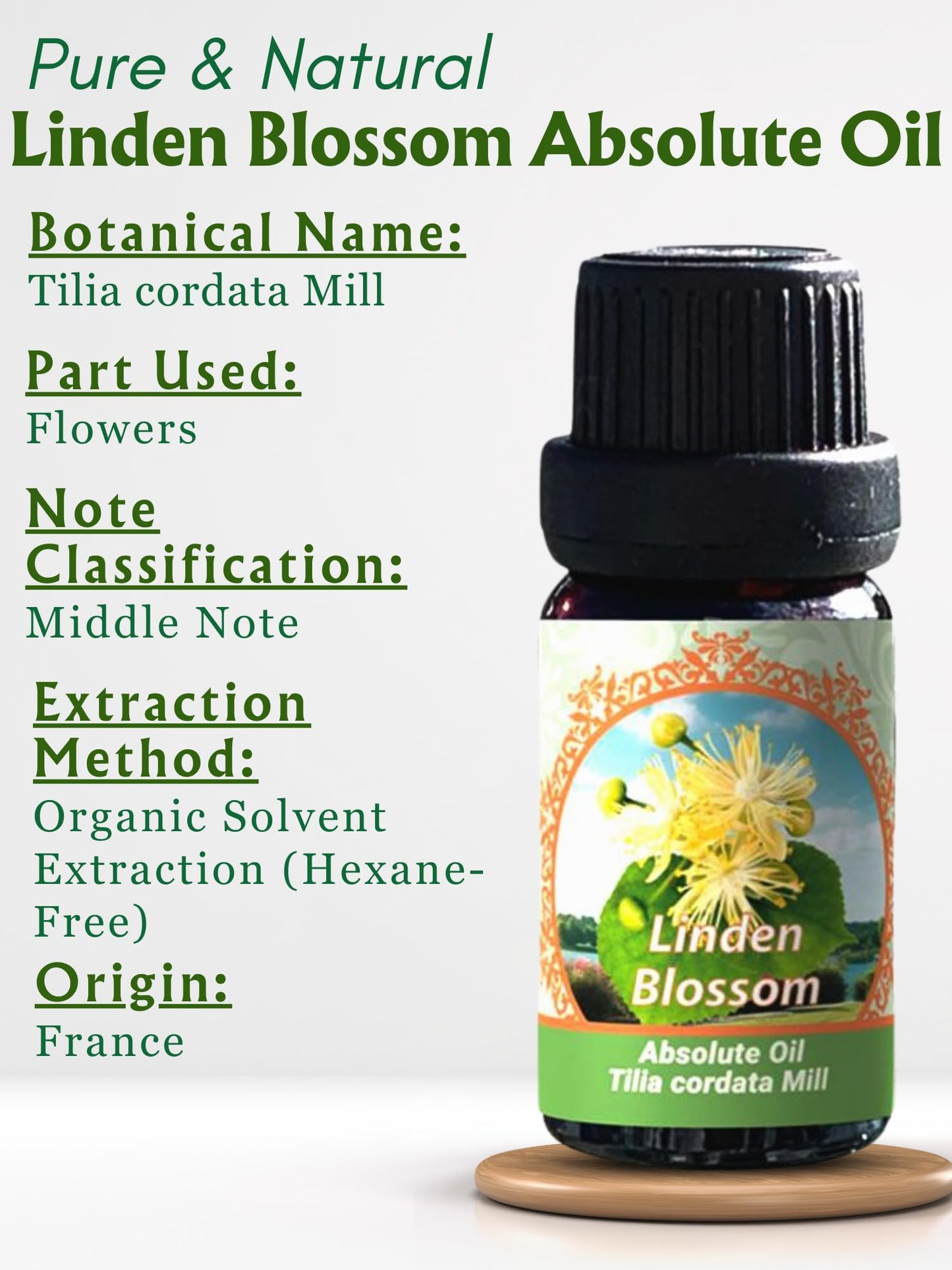 Flora Aromatics Linden Blossom Absolute Oil | 100% Pure The utic Grade | 10ml / 0.33 FL OZ