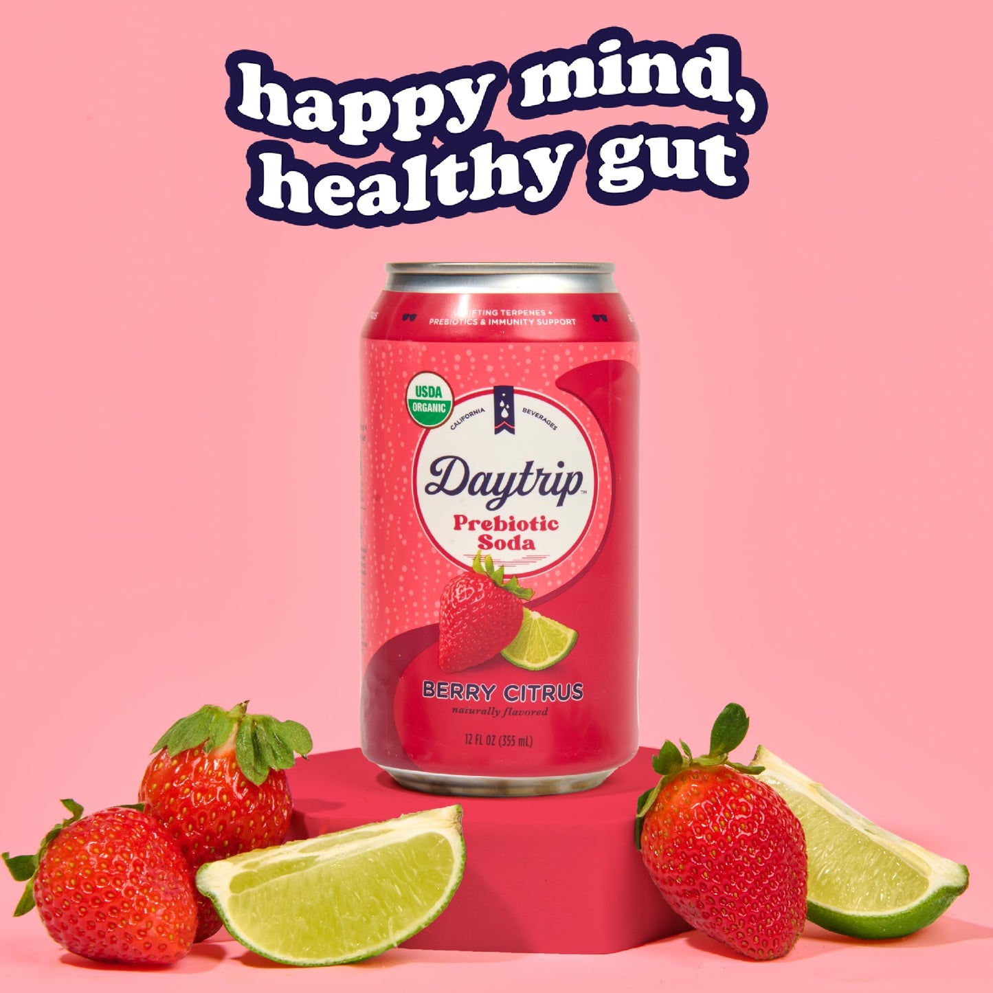 Daytrip Organic Sparkling Prebiotic Soda, Low Sugar, 12-Pack - Berry Citrus