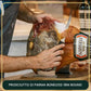 Ferrarini, Prosciutto Di Parma, Premium Grade, Dop, Aged 18 Months, Boneless,16-21 Lbs +/- Per Piece Prosciutto Crudo. Product W