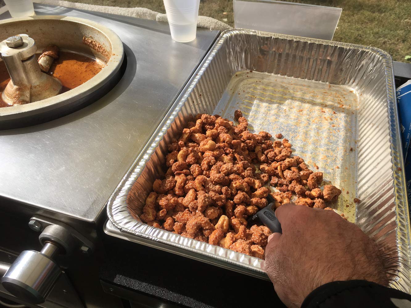 The Nutty Bavarian Cinnamon Glazed Pecans & Lightly Salted Cashews, 4 Cone Pack, Purple & Clear Blue