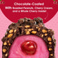 Adams & Brooks, Inc. Big Cherry Bar Cherry Cordials, Chocolate Cherry Cordials, Chocolate Covered Cherries, Chocolate and Cherry