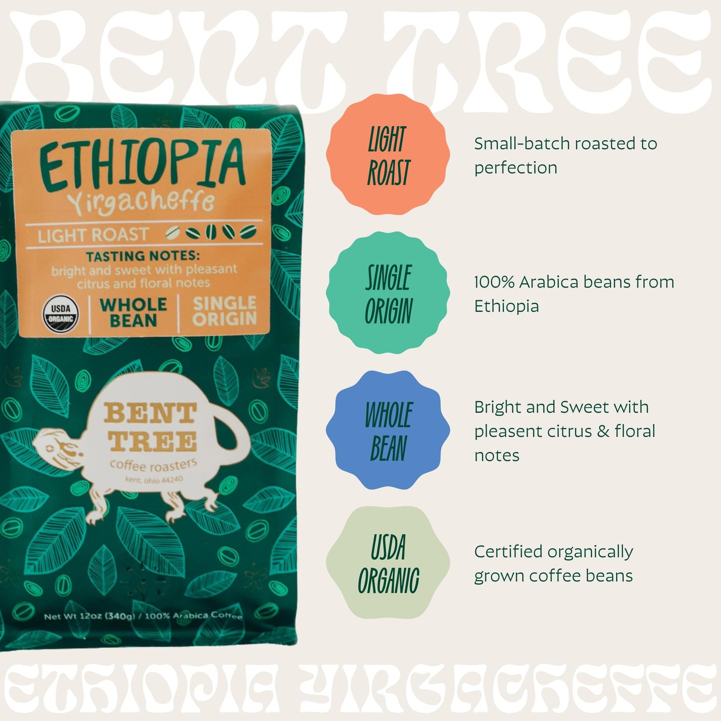 Bent Tree Coffee Roasters Organic Whole Bean Coffee, Light Roast, Ethiopia Yirgacheffe, 12oz, Bright & Sweet Citrus Notes