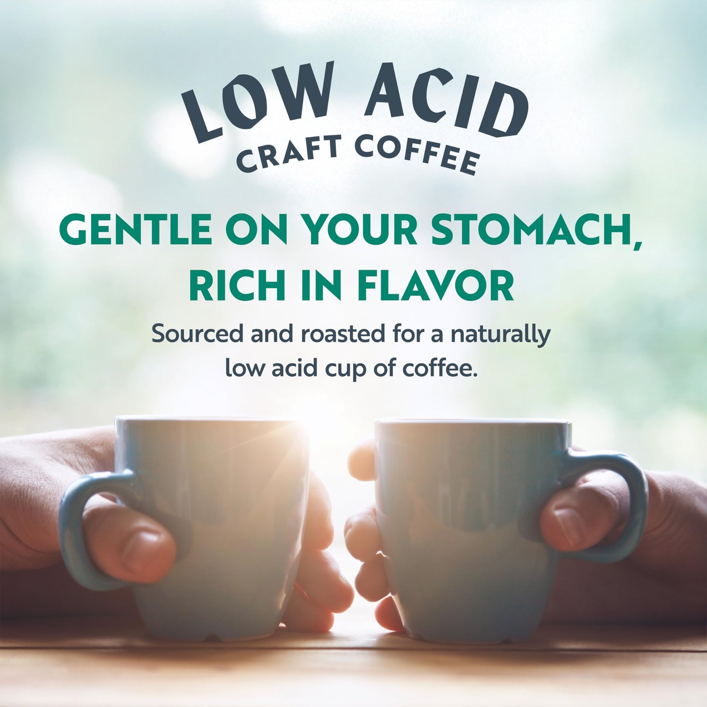 CLEAN COFFEE CO Low Acid Dark Roast Whole Bean Coffee, 12oz Bag, Honduran El Jaguar