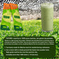 Top One Ceremonial Grade Organic Matcha Green Tea Powder - 30 Single Serve Stick Packs, Authentically Japanese, First Harvest ,