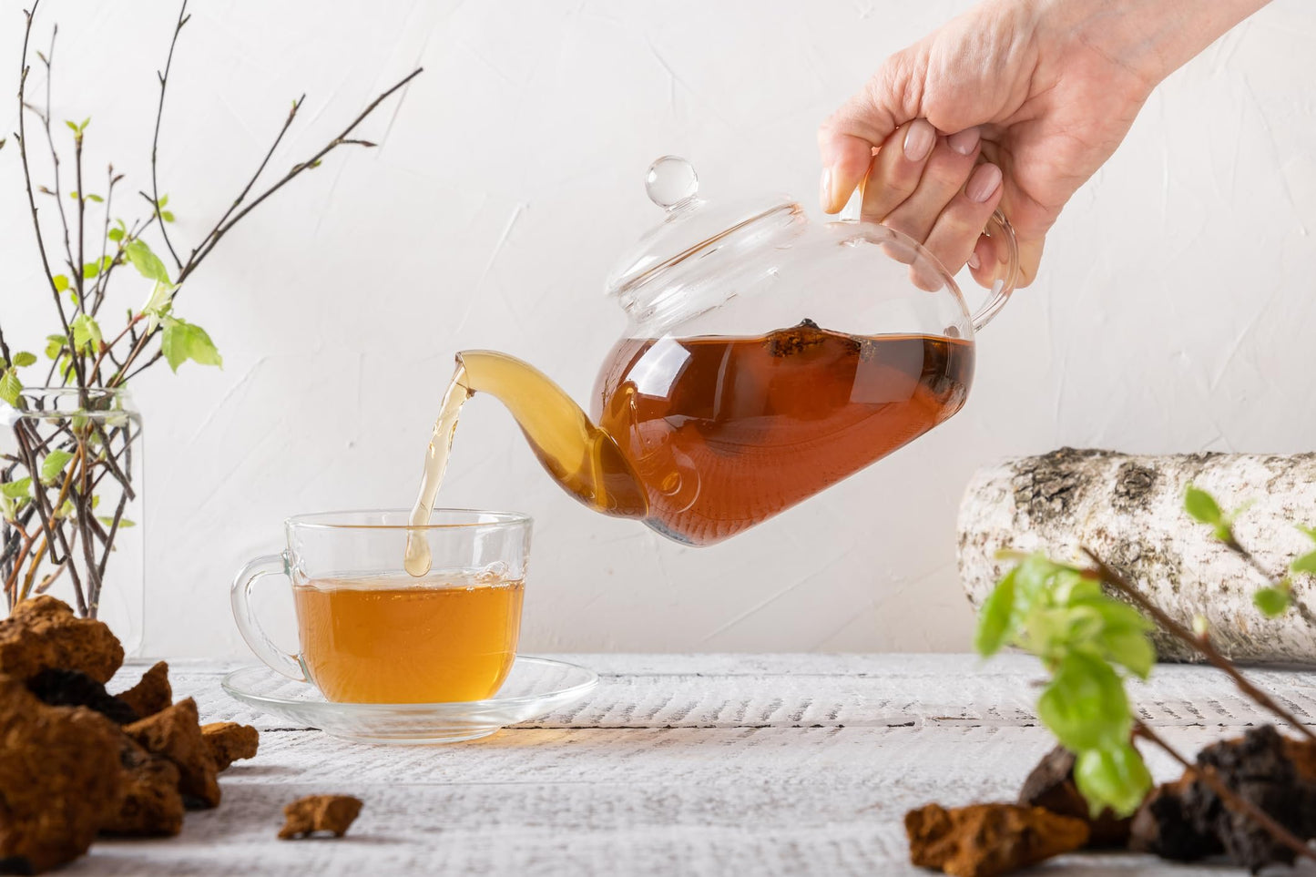 Birch Bark Dried Cut Herbal Tea - Birch Bark Tea - Resealable Bag - 56 Grams - Premium Quality (Birch Bark)