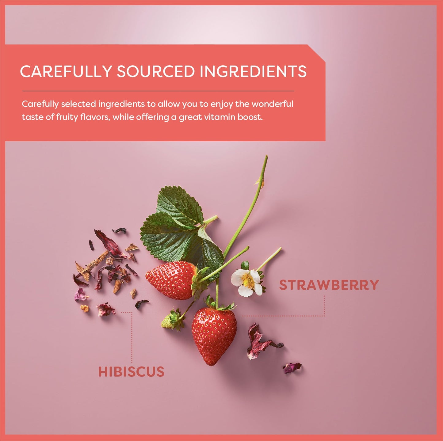Wissotzky Strawberry Burst Herbal Tea - Caffeine Free, Antioxidant Rich, 6 Pack (120 Tea Bags)