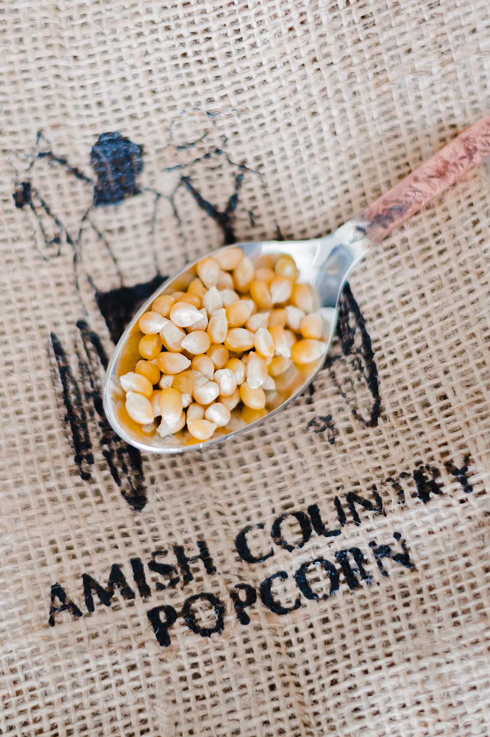 Amish Country Popcorn | 2-2 lb Bags | Baby Yellow Popcorn Kernels | Old Fashioned, Non-GMO and Gluten Free (2-2 lb Bags)