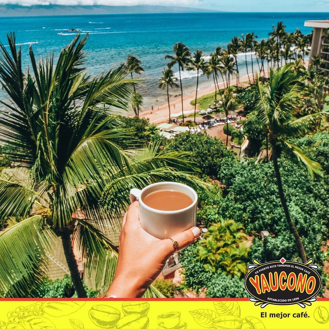 Yaucono Instant Coffee, Medium Roast, Arabica, From Puerto Rico, Glass Jar, 8 Ounce (Pack Of 2)