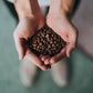 Coffee Bean Direct Brazilian Santos, Whole Bean Coffee, Light Roast, 1 Pound Bag (Pack Of 1)