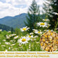 ULTHMOK Chamomile Tea Bags - 100% Pure Natural, Caffeine Free, Non-GMO, 135 Count