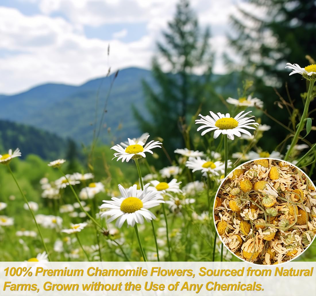 ULTHMOK Chamomile Tea Bags - 100% Pure Natural, Caffeine Free, Non-GMO, 135 Count