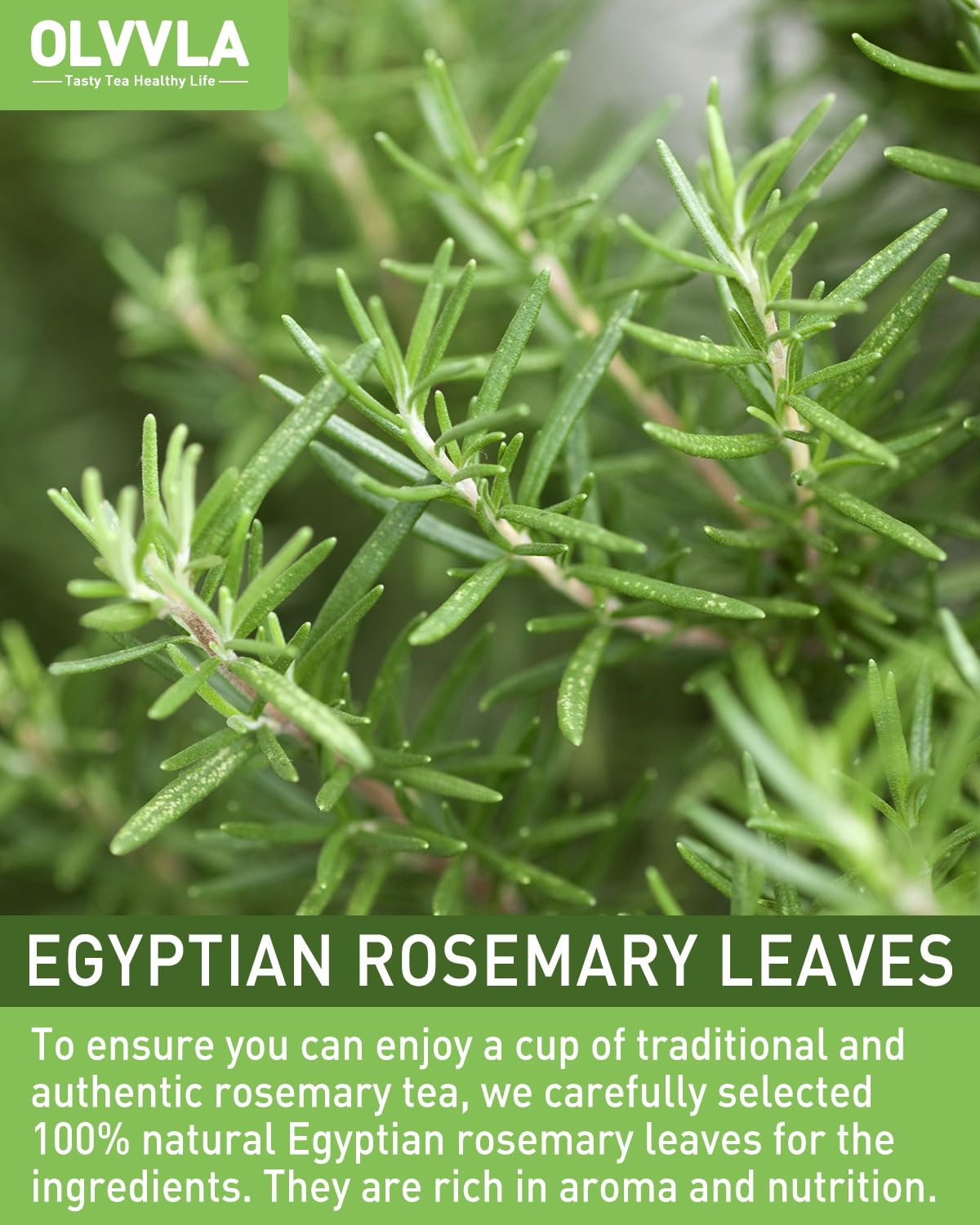 Olvvla Rosemary Tea Bags - 1.5g, 60 Count - Pure Natural Dried Rosemary Leaves, Non-GMO, Caffeine-free, Support Digestion