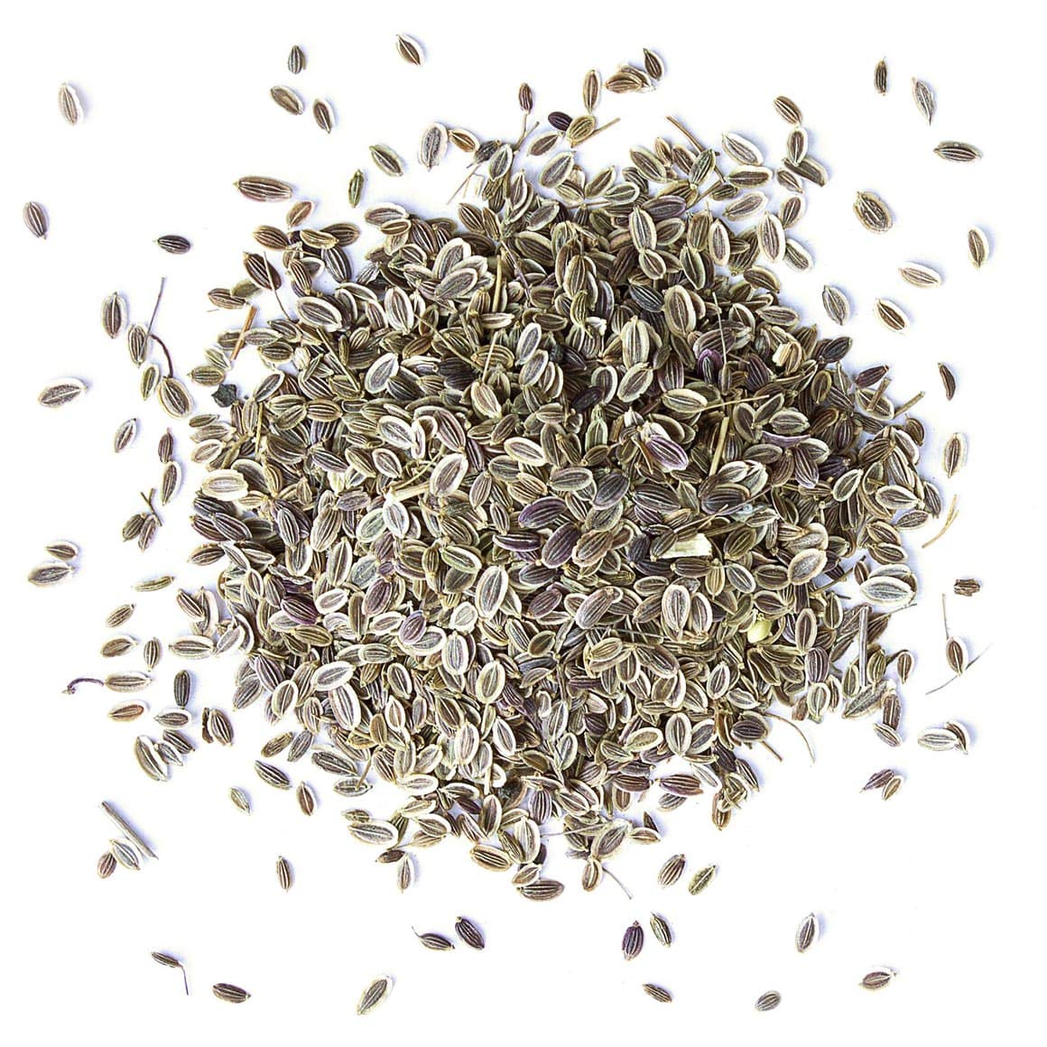 Food To Live - Dill Seeds Whole, 8 Ounces Kosher, Raw, Vegan, Bulk