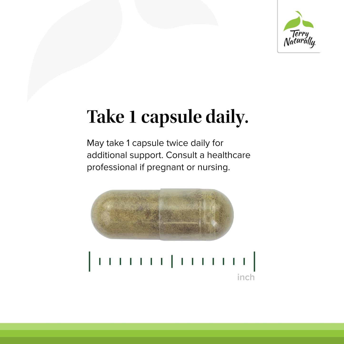 Terry Naturally GMT23 Greek Mountain Tea Plus Bacopa - Dietary dietary product for Focus Support - Brain Health dietary product for Attention to Detail - Herbal dietary product with Antioxidants - 30 Capsules