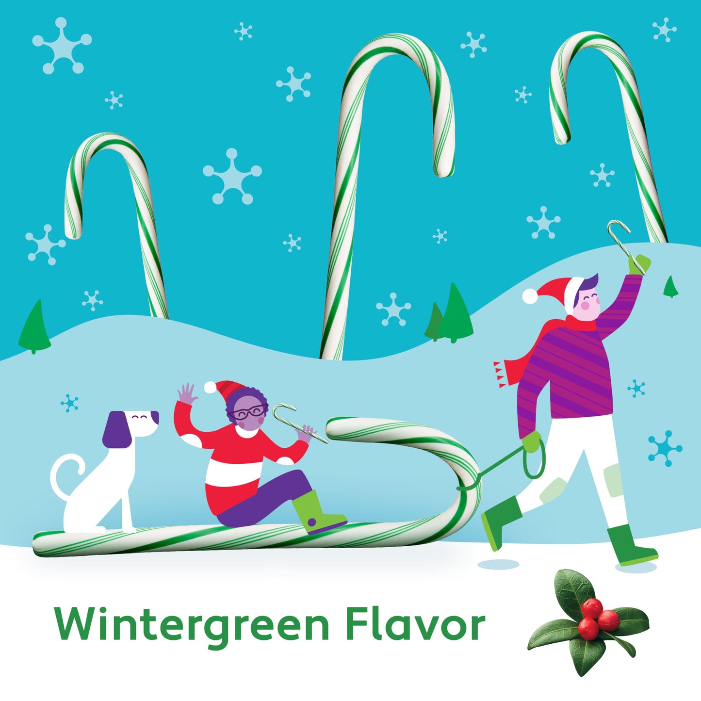 Brach'S Wintergreen Christmas Candy Canes, Minty Twist On A Holiday Classic, 12Ct - Perfect For Stocking Stuffers, Holiday Gifti