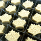 Sapsquatch Organic Maple Candy - 5 Ounces - Pure Maple Syrup Sugar Leaf Candy