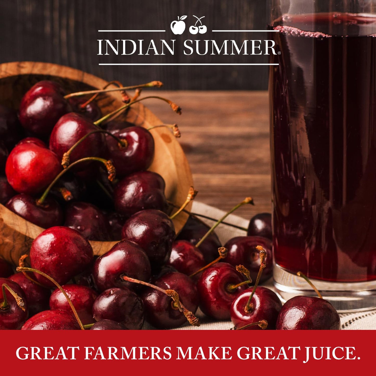 INDIAN SUMMER Chunky Applesauce, Made from US Apples, 23 Ounce (Pack of 2)